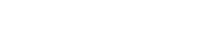 Adult Store Toy
